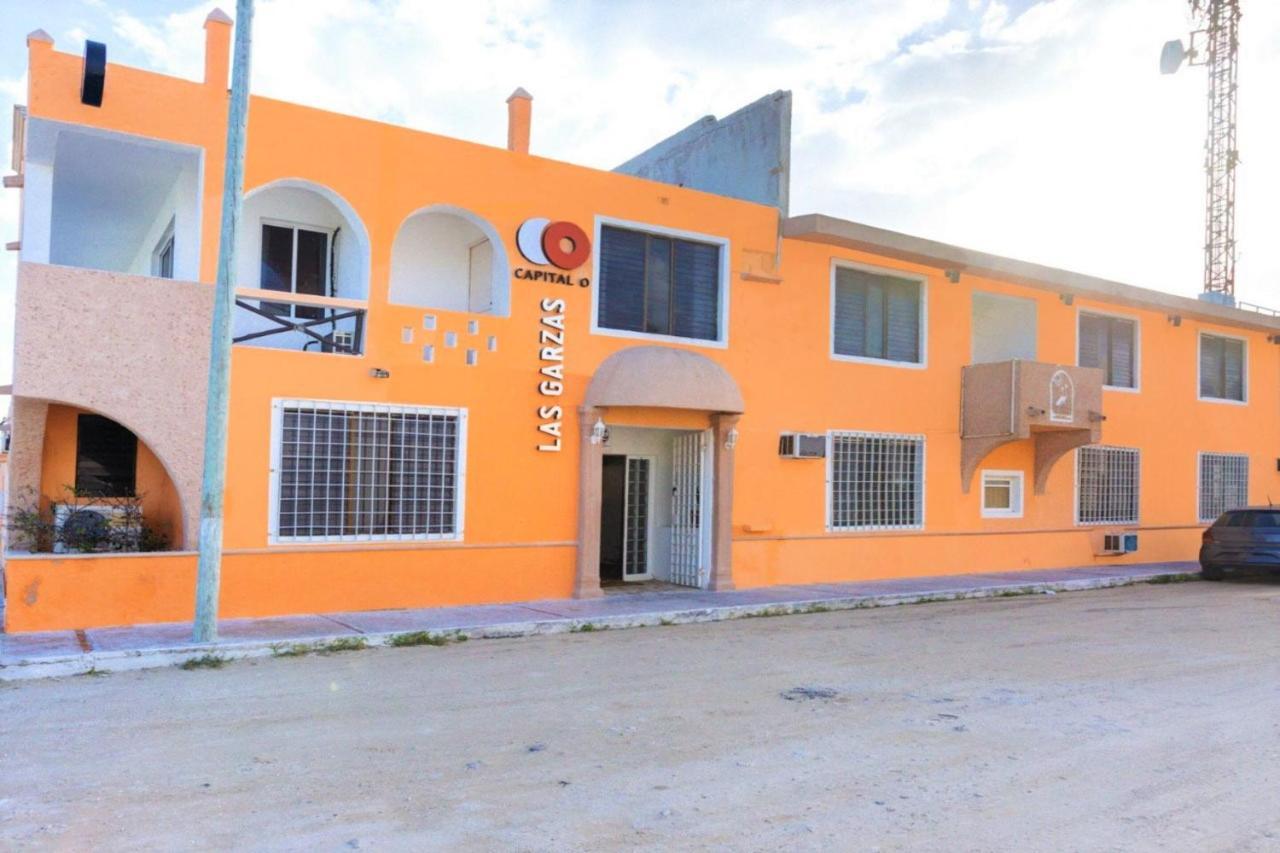 Hotel Las Garzas Chelem Exterior foto