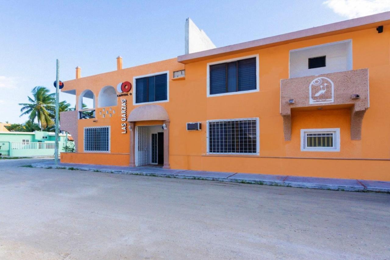 Hotel Las Garzas Chelem Exterior foto