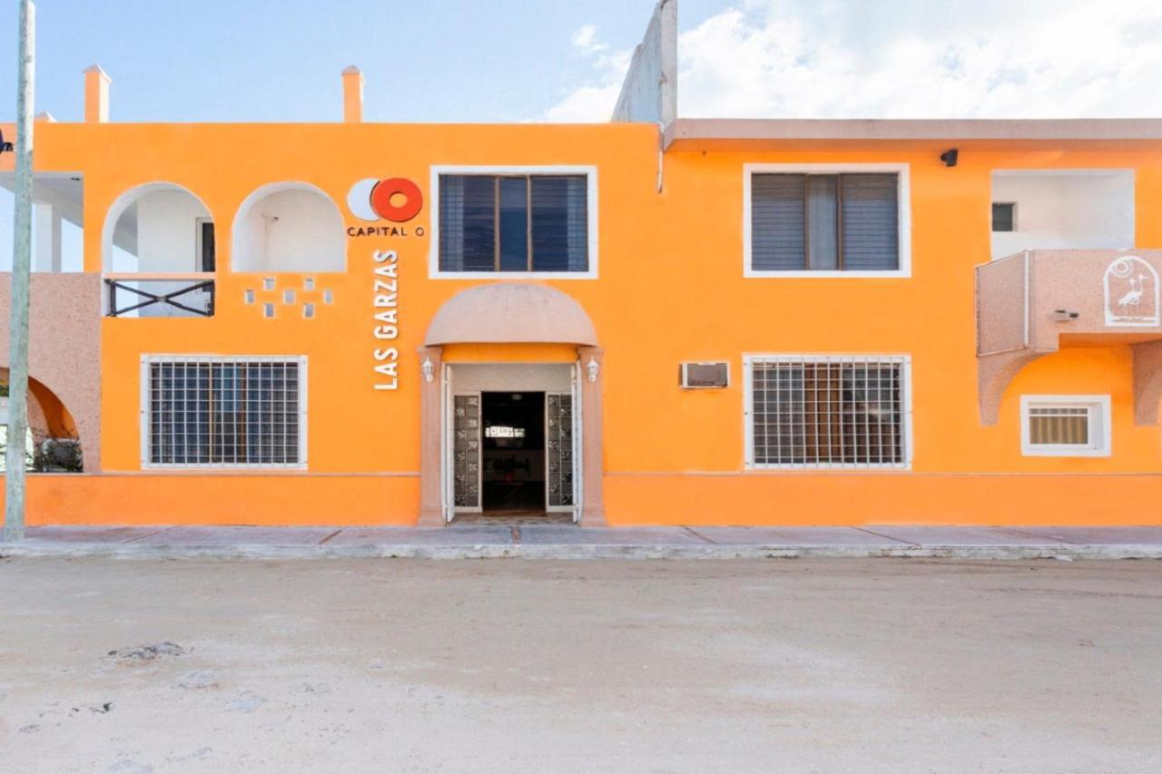 Hotel Las Garzas Chelem Exterior foto